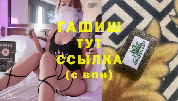 крисы Сатка