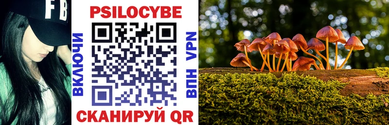 даркнет официальный сайт  где можно купить наркотик  Бор  Псилоцибиновые грибы Magic Shrooms 