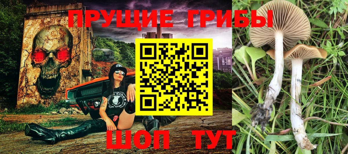 Галлюциногенные грибы GOLDEN TEACHER  Вход с VPN  Бор 
