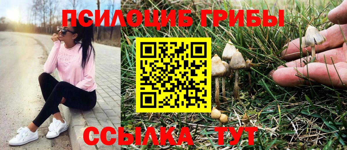 Псилоцибиновые грибы мухоморы Бор